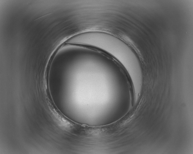 X0000060580892200511031333