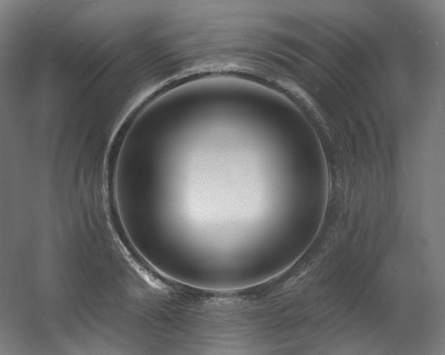 X0000060580894200511031333