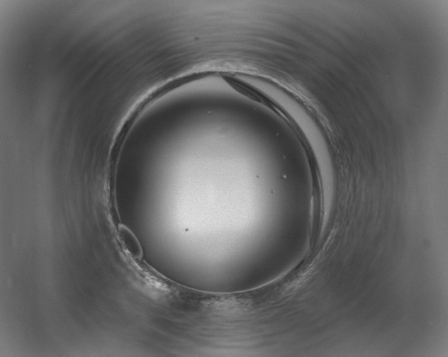 X0000060580896200511031333