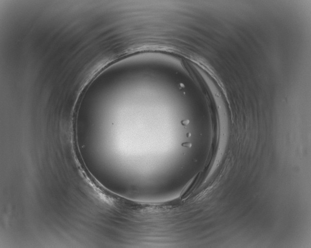 X0000060580898200511031333