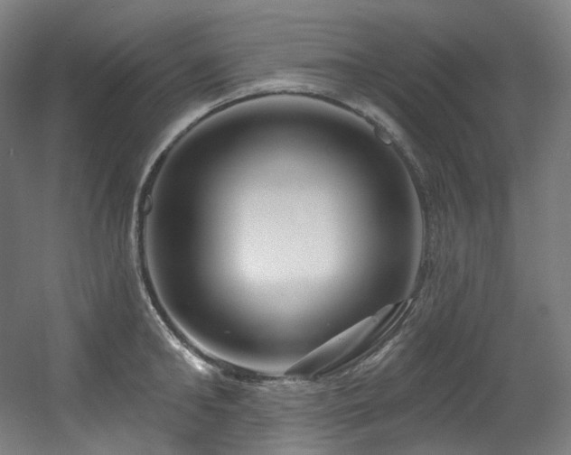 X0000060580902200511031333