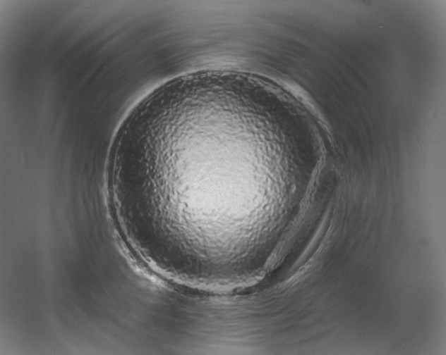 X0000060580904200511031333