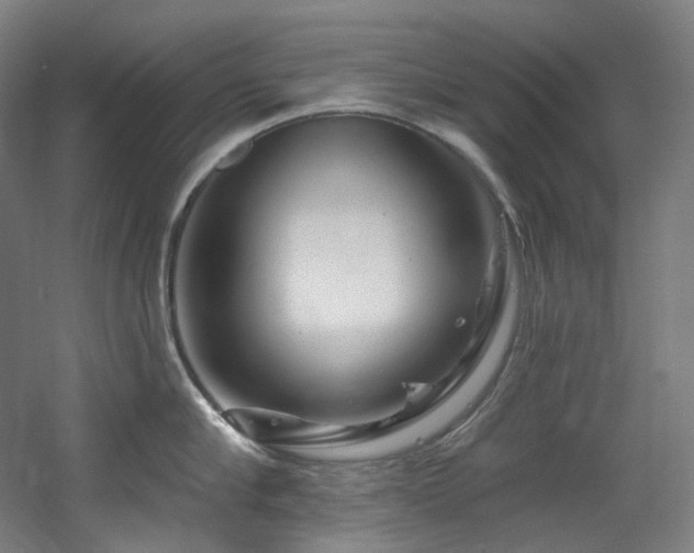 X0000060580910200511031333