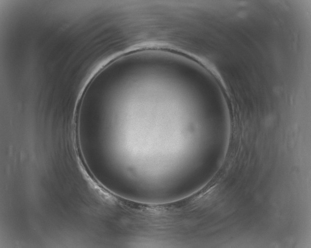 X0000060580911200511031333