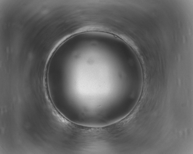X0000060580912200511031332