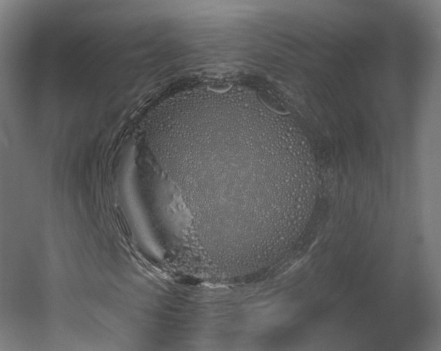 X0000060580913200511031332