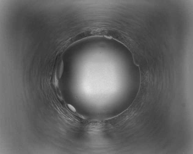 X0000060580914200511031332