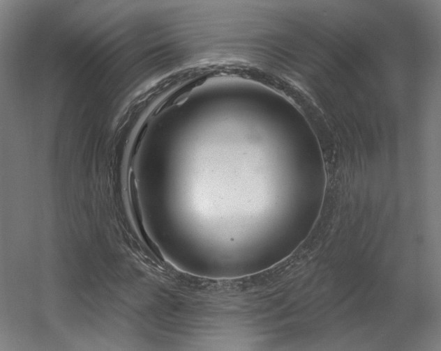 X0000060580920200511031332