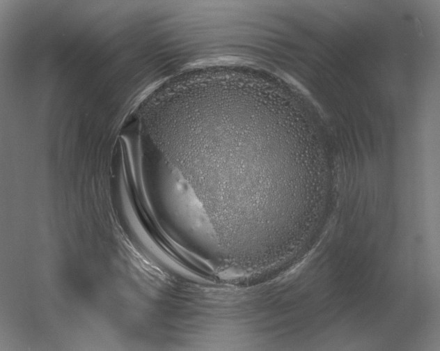 X0000060580921200511031332