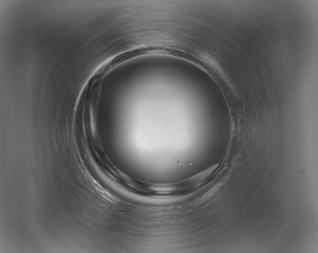 X0000060580924200511031332