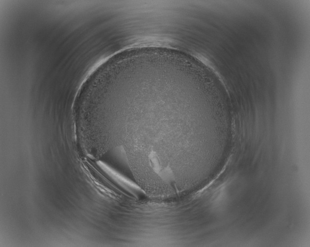 X0000060580925200511031332