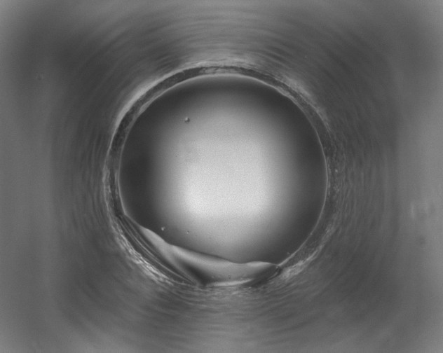 X0000060580928200511031332