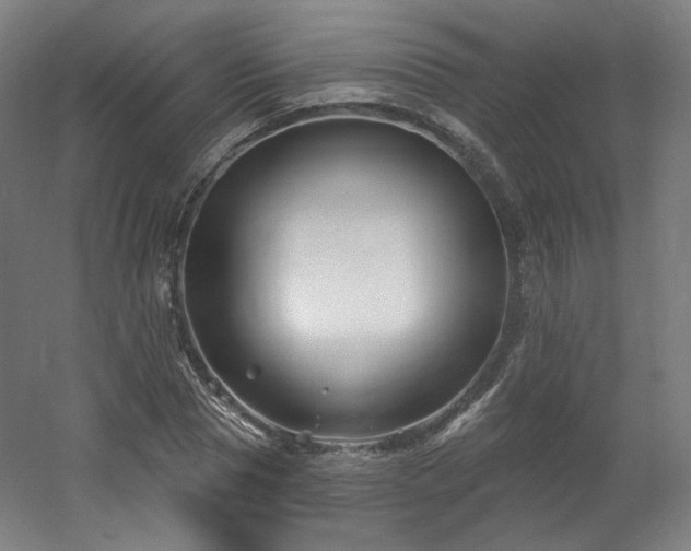 X0000060580929200511031332