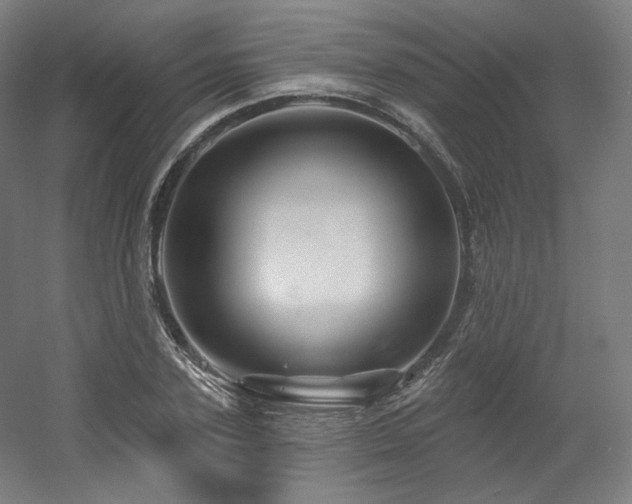 X0000060580931200511031332