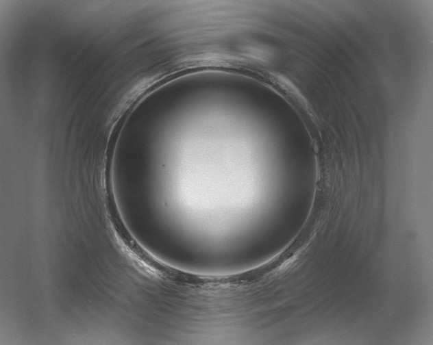 X0000060580938200511031332