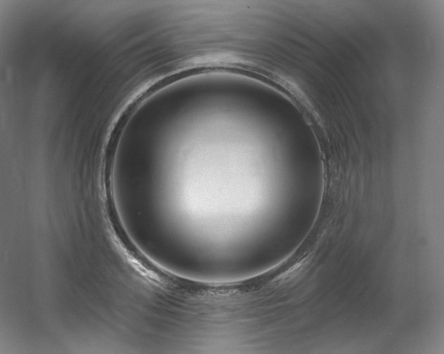 X0000060580939200511031332