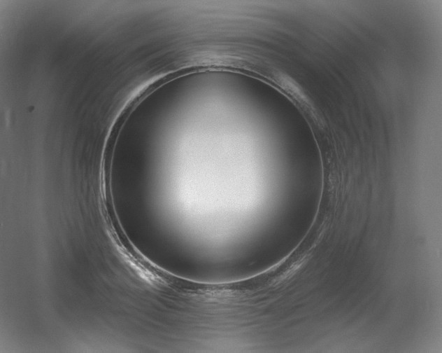 X0000060580940200511031332