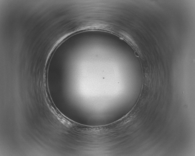 X0000060580948200511031332