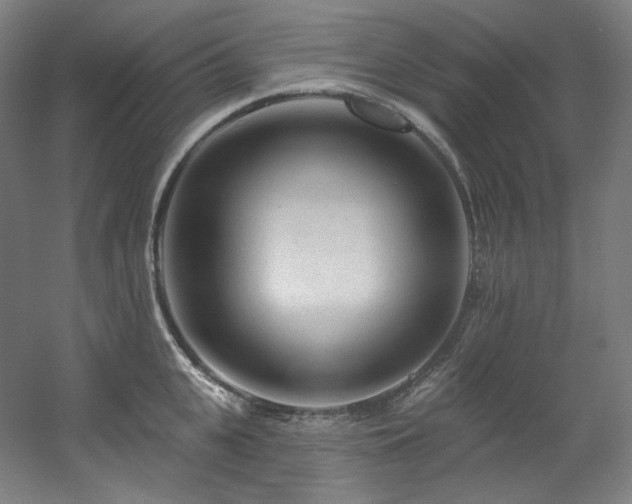 X0000060580951200511031332