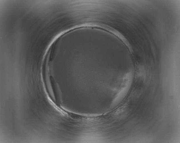 X0000060580958200511031332