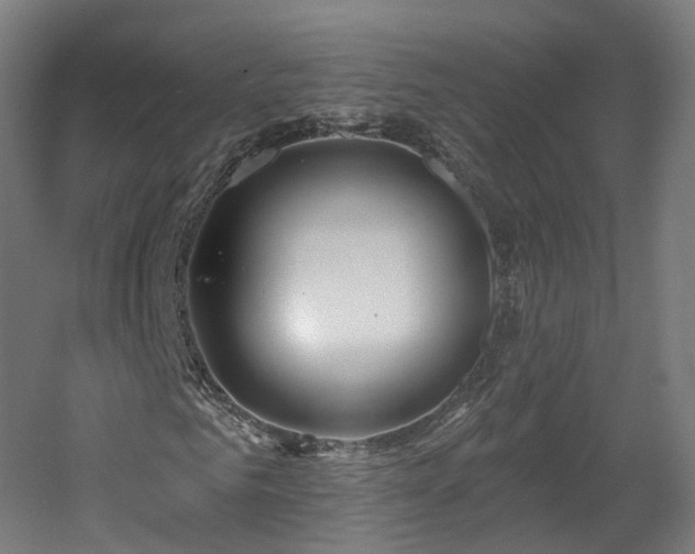 X0000060580961200511031332