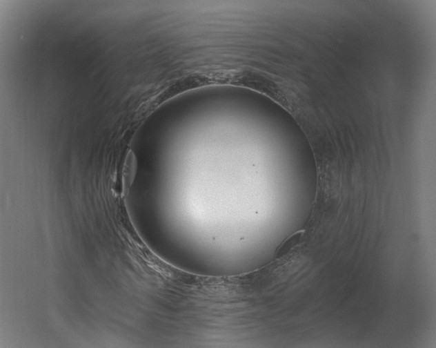 X0000060580962200511031332