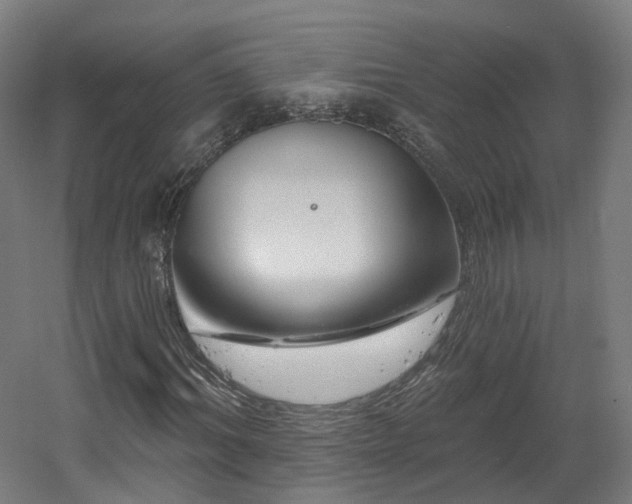 X0000060580964200511031332