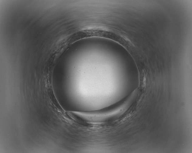 X0000060580965200511031332