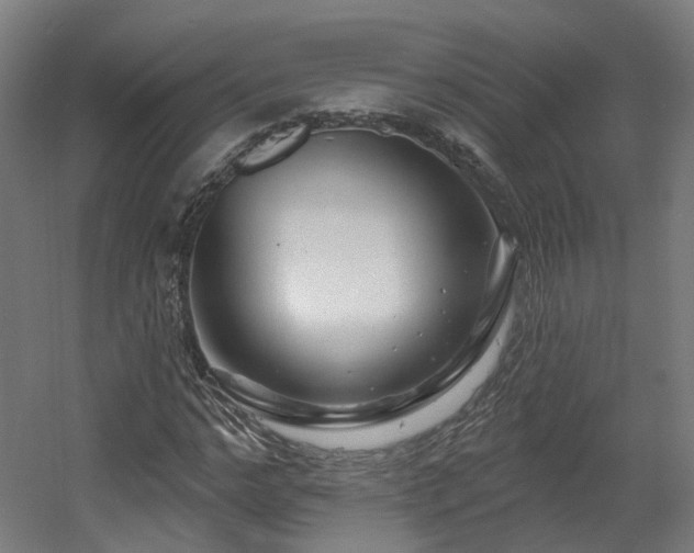 X0000060580968200511031332