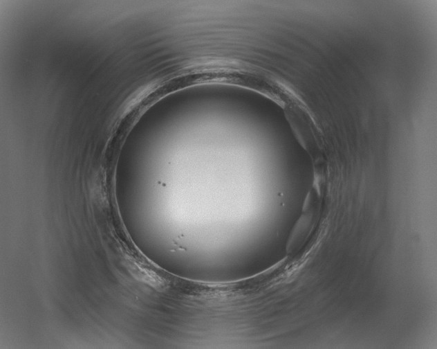 X0000060580970200511031332
