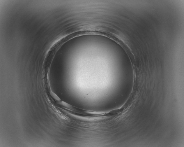 X0000060580971200511031331