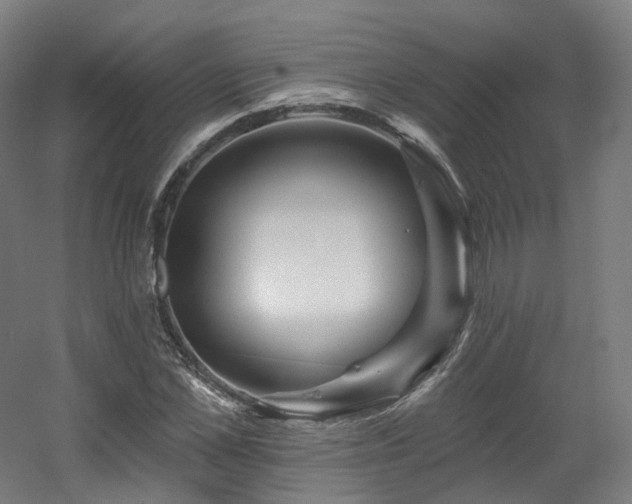 X0000060580973200511031331