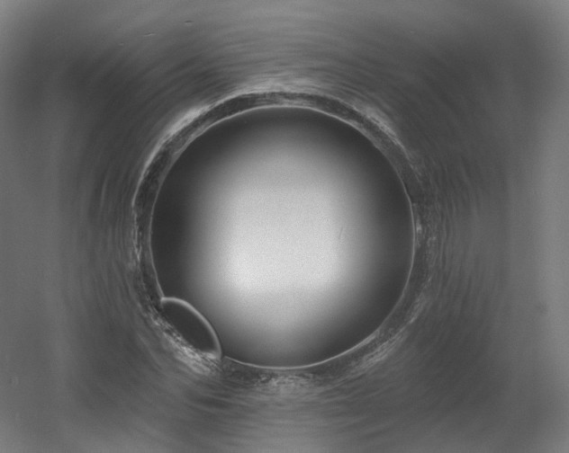 X0000060580974200511031331