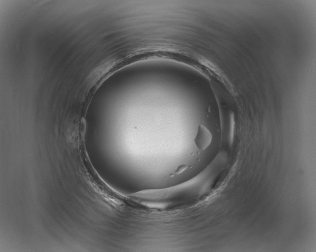 X0000060580977200511031331