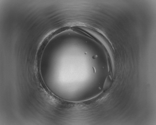 X0000060580979200511031331