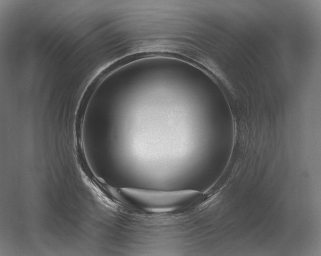 X0000060580980200511031331