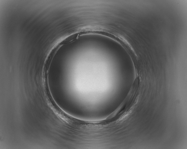 X0000060580981200511031331