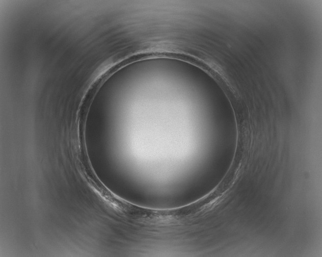 X0000060580982200511031331