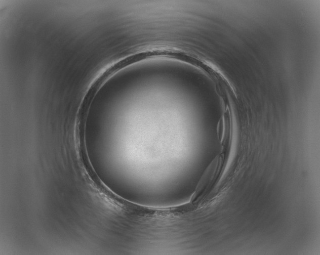 X0000060580983200511031331