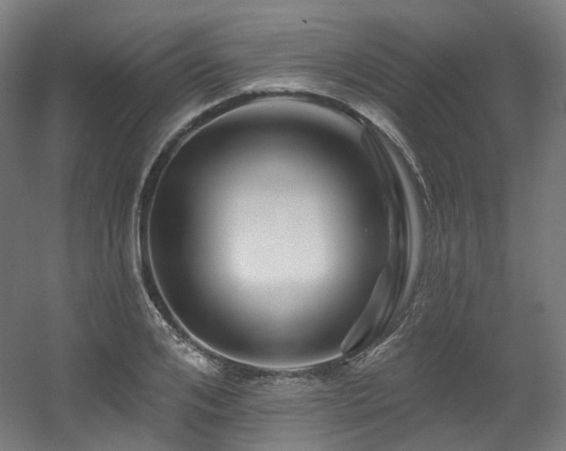 X0000060580984200511031331