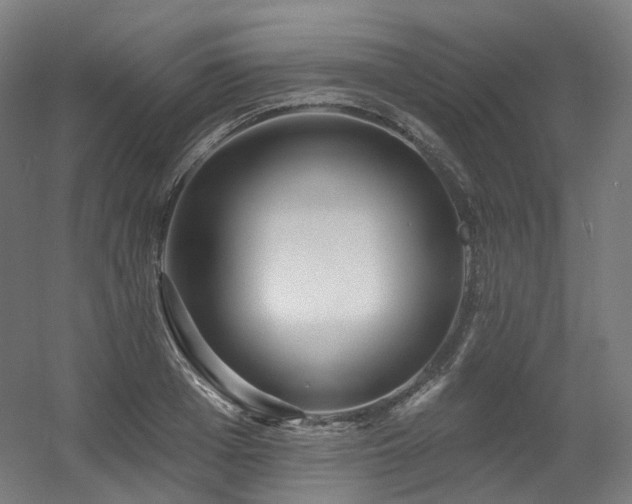 X0000060580985200511031331