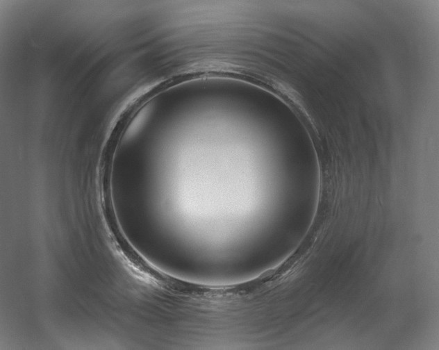 X0000060580987200511031331