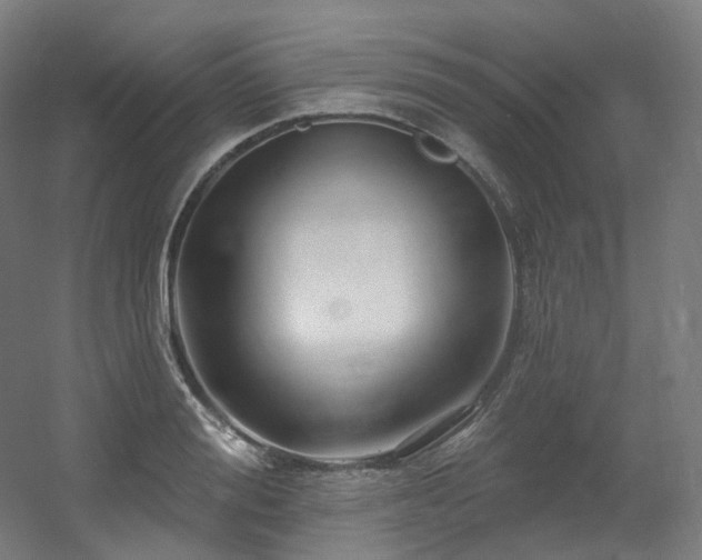 X0000060580988200511031331
