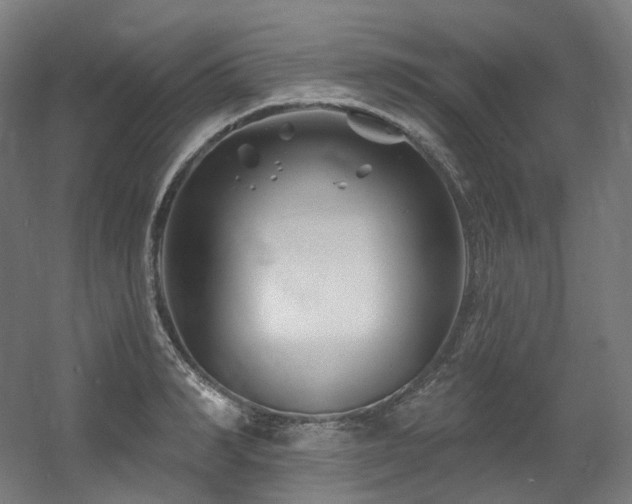 X0000060580990200511031331