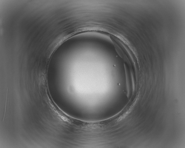X0000060580993200511031331