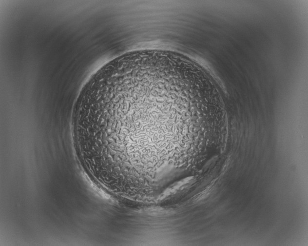 X0000060580998200511031331
