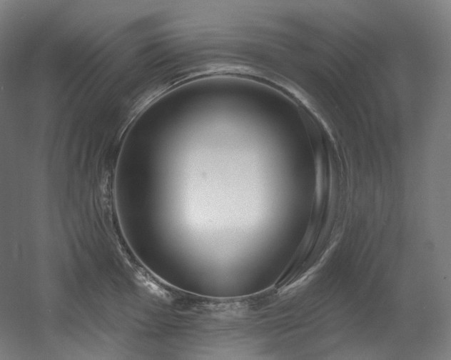 X0000060581001200511031331