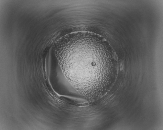 X0000060581011200511031330