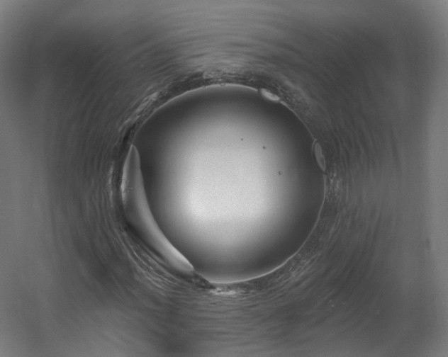 X0000060581012200511031330