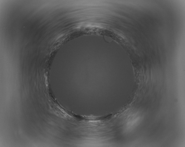 X0000060581013200511031330